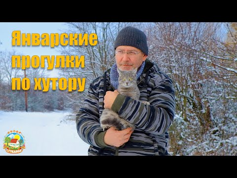 Видео: #101 Январский променад по хутору с собаками. Проверили вымя у овец.