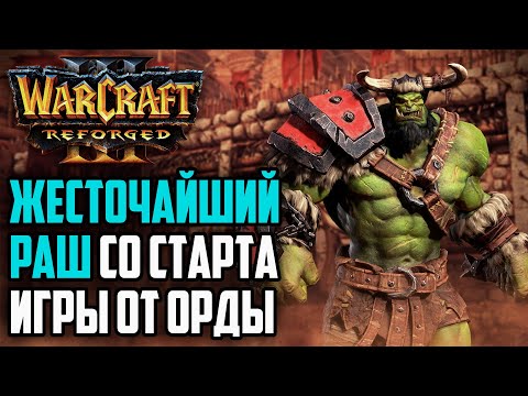 Видео: ЖЕСТОЧАЙШИЙ РАШ СО СТАРТА ОТ ОРДЫ: Warcraft 3 Reforged