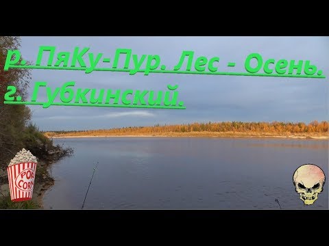 Видео: Вылазка на рыбалку. г. Губкинский, река Пяку-Пур. Ловим Язя. Красоты ЯМАЛа.