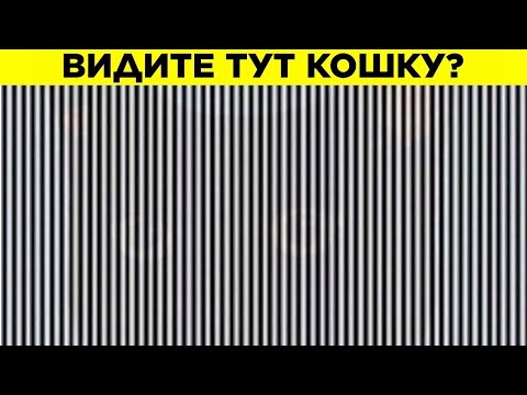 Видео: Проверьте Своё Зрение С Этими Тестами
