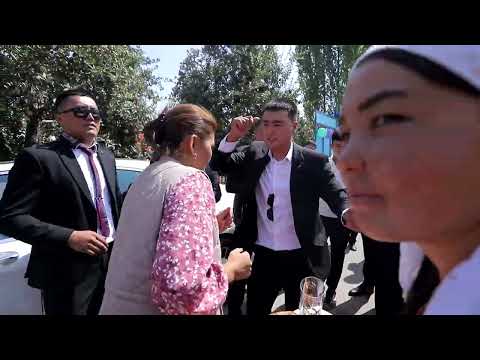 Видео: Дамир Загс Жийде