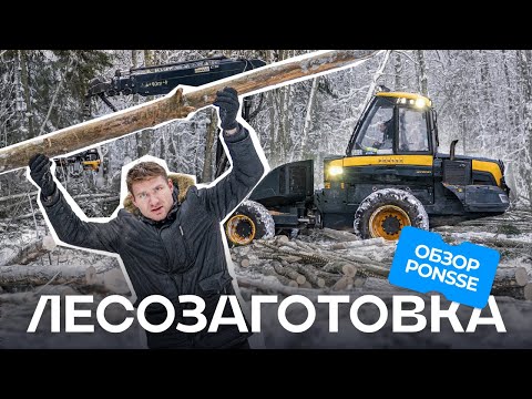 Видео: Умная лесозаготовительная техника Ponsse заменит целую бригаду?