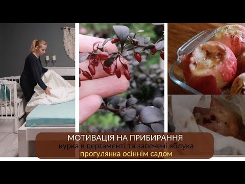 Видео: ПРИБИРАННЯ після КОВІДУ | ВЕЧЕРЯ за 20 хв | НАЙСМАЧНІШИЙ ОСІННІЙ ДЕСЕРТ МОТИВАЦІЯ на домашні справи