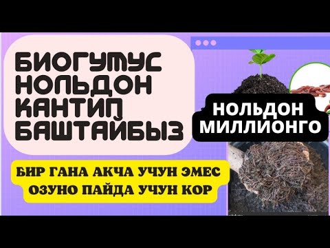 Видео: СООЛЖАН БАГУУ//НОЛЬДОН БАШТАЙБЫЗ /ОШ    ЭМГЕКЧИЛ ШЫЛАУШЫН БОРДАКЫЛУБИЗНЕСИ!