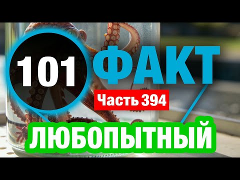 Видео: 101 Грандиозный Факт