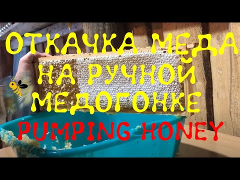 Видео: Откачка меда в ручной медогонке Lyson и распечатка медовых рамок.
