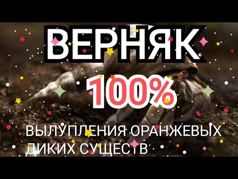 Видео: The Ants | ГДЕ ВЗЯТЬ ОРАНЖЕВЫХ ДИКИХ СУЩЕСТВ??? | The Ants Underground kingdom