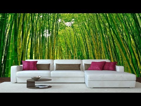 Видео: 40 Примеров, Когда Фотообои Перенесут Вас В Другую Реальность