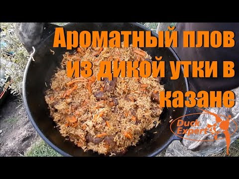 Видео: Вкусный и ароматный плов из дикой утки в казане от Duck Expert