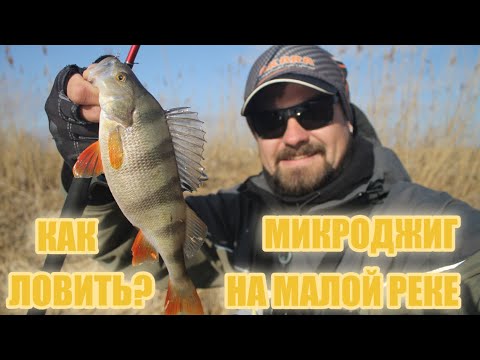 Видео: Как ловить окуня весной / Микроджиг на малой реке