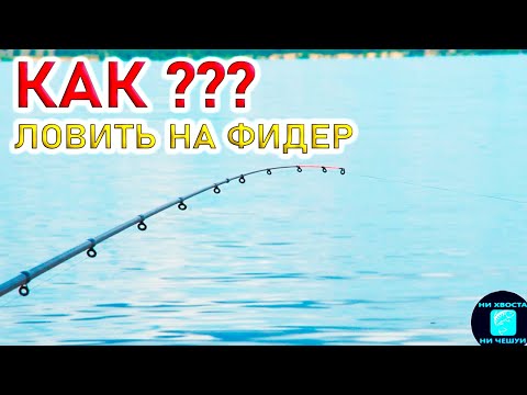 Видео: КАК ЛОВИТЬ НА РЕКЕ НА ФИДЕР?!СЕКРЕТЫ рыбалки на ФИДЕР!Ошибки новичков! Ловля леща