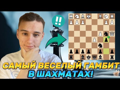 Видео: САМЫЙ ВЕСЕЛЫЙ ГАМБИТ В ШАХМАТАХ! 5 ЛОВУШЕК И Вы ЗАБУДЕТЕ О СКУКЕ!