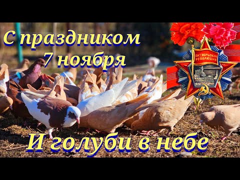 Видео: На улице Праздник голубей в небо