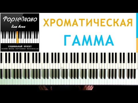 Видео: 🎹 Фортепиано ДЛЯ ВСЕХ. Урок 5 - ХРОМАТИЧЕСКАЯ гамма.