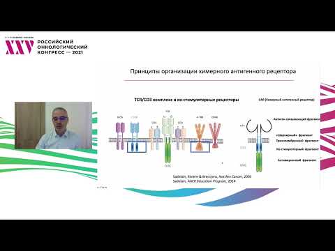 Видео: Применение CAR-T лимфоцитов в онкологии
