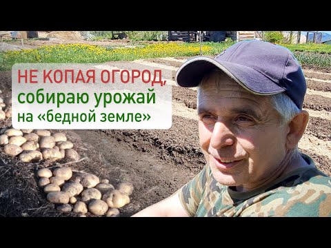 Видео: Эффективное огородничество без перекапывания земли, повышаем плодородие почвы, компост и мульча