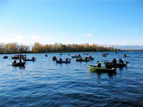 Видео: РЫБА КИШИТ ПОД ЛОДКОЙ!!! Рыбалка с ночёвкой. 1 - я Часть.