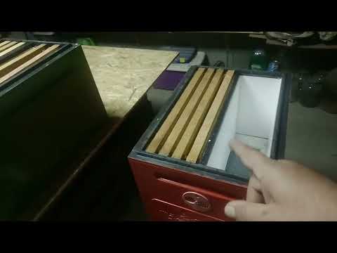 Видео: Весенний Старт Пчелосемей!!!