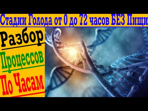 Видео: Что происходит в организме без пищи? Разбор голодания по часам! От похудения до омоложения!