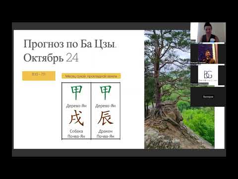 Видео: Прогноз на октябрь 2024. Месяц Деревянной Собаки | Прогноз по БаЦзы АСТРОПРОГНОЗ