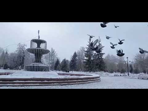 Видео: Я УЖЕ В ОМСКЕ 🚘. ФЕВРАЛЬ, МАРТ, АПРЕЛЬ 🌞