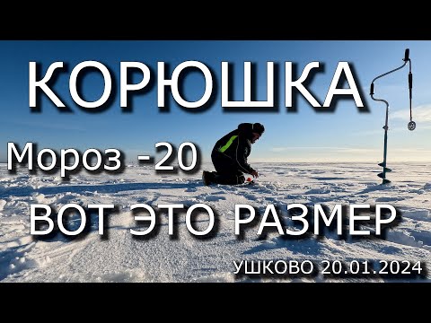 Видео: КРУПНАЯ КОРЮШКА НА ФЗ - ПОРВАЛ КОМБИНЕЗОН