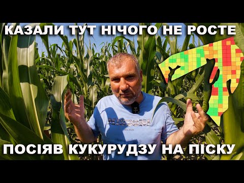 Видео: Диференційне внесення та посів кукурудзи на пісках. Точне землеробство від Ю.Дробязко