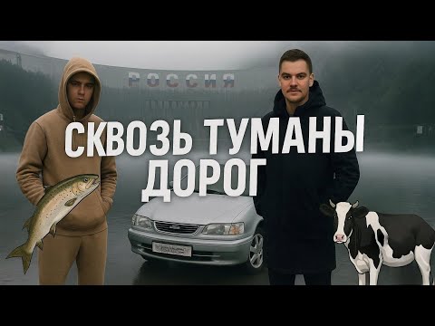 Видео: МЫ ЗАБЛУДИЛИСЬ В ТУМАНЕ! Решили съездить на СШГЭС, называется...