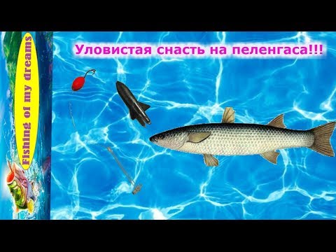 Видео: Уловистая снасть на пеленгаса!!!