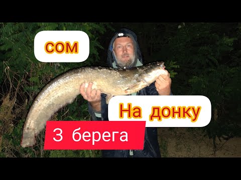 Видео: РИБОЛОВЛЯ!!! ЯК впіймати сома 200% на любій водоймі !! Ловля сома на донки з берега 2023 !