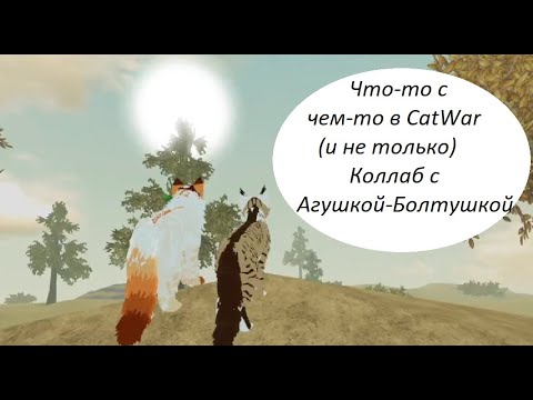 Видео: Что-то с чем-то в CatWar (и не только) / Коллаб с Агушкой-Болтушкой