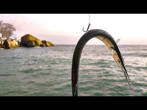 Видео: Нашли Саргана. Спонтанная морская рыбалка в АЛупке.  Ловля Селедки на Пилькер в Море с Лодки