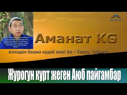 Видео: Сабырдуулук Аюб пайгамбар жонундо