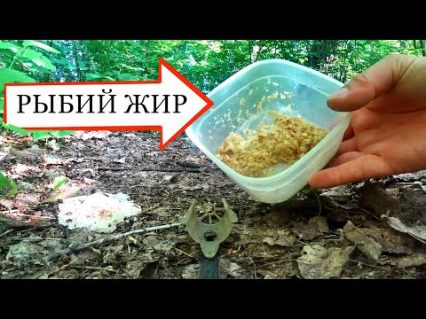 Видео: Реакция рыбы на Рыбий жир! Голавль, густера, плотва. Подводная съемка