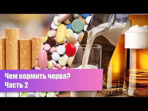Видео: Чем и как кормить червей. Корм для червей. Часть 2.