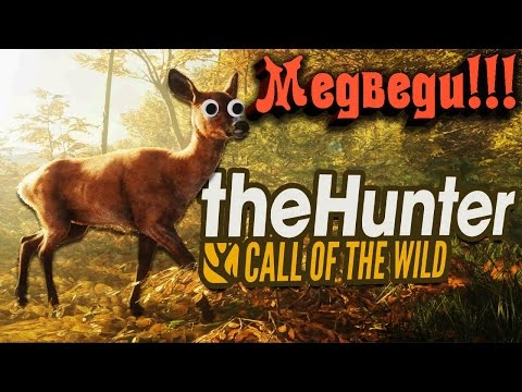 Видео: The Hunter Call of the Wild - Охота на медведя