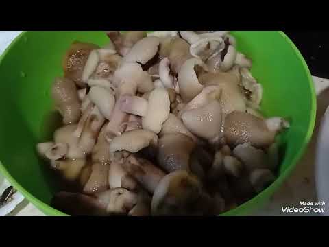 Видео: Уехали отдыхать душой🍁Лес, грибы, тишина🍁