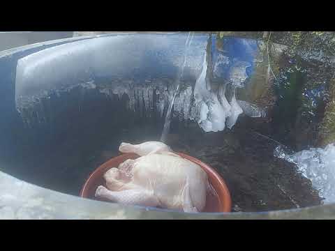 Видео: Пиле печено под кофа.