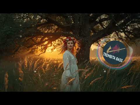 Видео: Trembita Bass - Чом ти не прийшов (EDM)