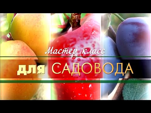 Видео: В. Железов. Мастер класс для садовода. Весна 2016.