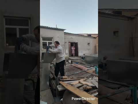 Видео: 18 августа 2025 г.