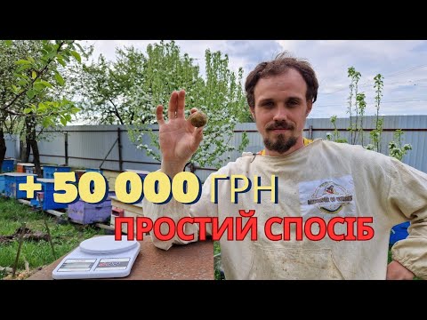 Видео: РОЗШИРЕННЯ ЛЕЖАКА. ВОЩИНА ВІДБУДОВАНА! 24 КВІТНЯ. Мед з садів. РАХУЄМО заробіток з пасіки.