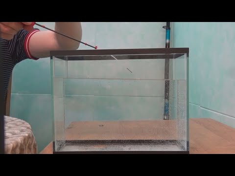 Видео: Зимняя кивковая удочка. Дмитрий Елисеев.