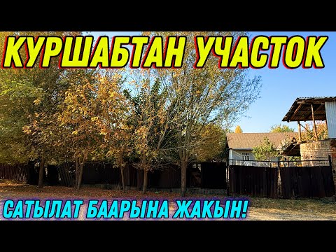 Видео: БУЛ ЖЕРДЕН ЖЕР КЕМ ЧЫГАТ 🤯 #байтв 