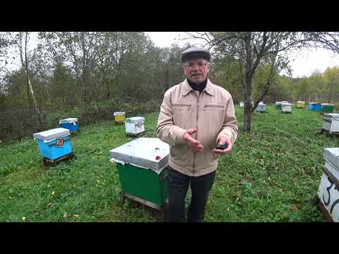 Видео: Летки в ульях.  Размер летка.  Пасека Лаврова.