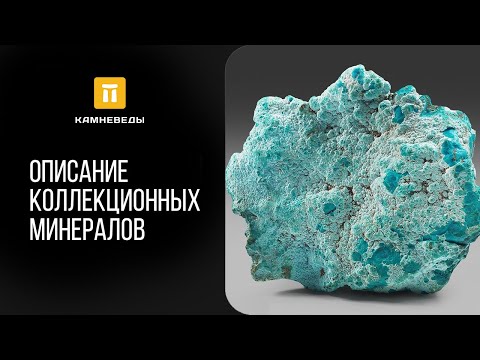 Видео: Определение коллекционных минералов