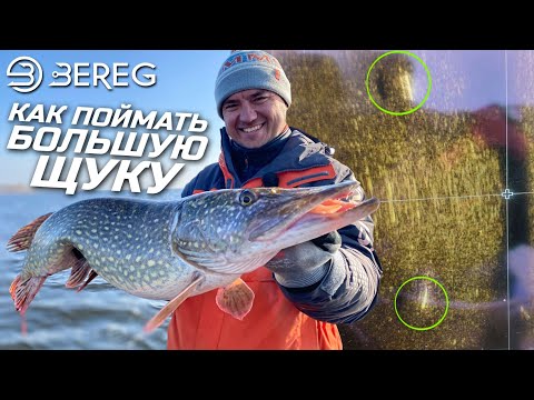 Видео: Целенаправленная ловля Крупной Щуки осенью на Днепре