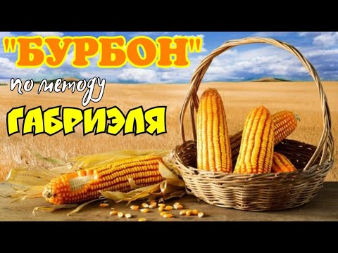 Видео: Ленивый "БУРБОН" из экстракта по Габриэлю