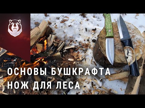 Видео: Нож для леса. Какой нож выбрать для бушкрафта. Сканди или линза?