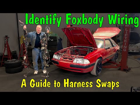 Видео: Руководство по жгутам проводов Foxbody